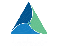 Teleios-Logo-19_final_Consulting-Group_WH_text